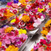 Mix de Flores Comestibles