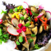 Mix de Flores Comestibles - Image 4