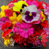 Mix de Flores Comestibles