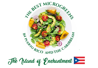 Los mejores microgreens de Puerto Rico y el Caribe LTA La Torre Agrícola