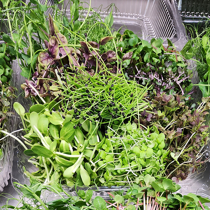 Garnish Mix Microgreens