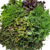 Garnish Mix Microgreens