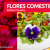 Las Flores Comestibles Edible Flowers