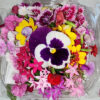 Mix de Flores Comestibles