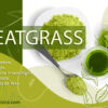 wheatgrass o trigo
